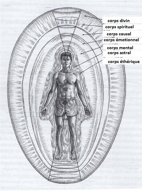Cette image a un attribut alt vide ; le nom du fichier est wsb-484x649-aura-pf-1.jpg